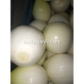 ცხელი ყვითელი ხახვი, რომ Peeled